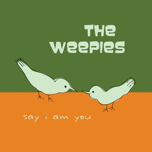 Gotta Have You – The Weepies 选自《Say I Am You》专辑